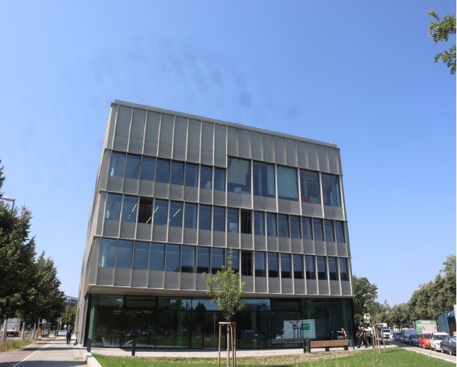 جامعة شتاينبايس